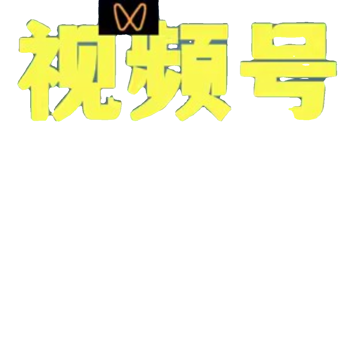 蓝海项目，视频号私域新玩法，暴力项目月入1万+【揭秘】学习资料-图0