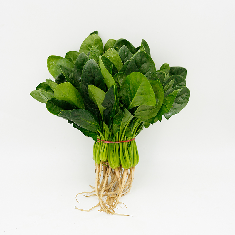 菠菜1-5斤 新鲜采摘时令农家蔬菜火锅食材大叶菠菜红根赤根波斯菜 - 图3