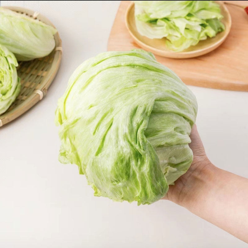 【槿馐】球生菜500g 西生菜圆生菜结球生菜新鲜蔬菜汉堡沙拉食材,淘宝优惠券,粉丝福利购,淘宝优惠卷