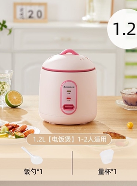 志高电饭煲家用小型迷你电饭锅宿
