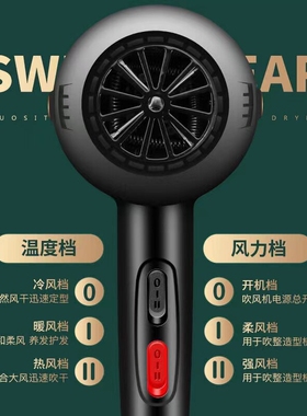 德国电吹风机家用大功率发廊3500