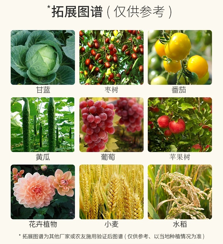 40%百菌清果树蔬菜花卉杀菌剂植物锈病炭疽病白粉叶斑霜霉病农药 - 图1