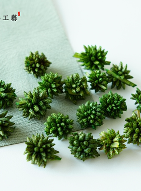 【多头星绿色】天然植物果实干果手工diy材料干花包幼儿环创圣诞