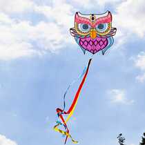 Chinese Wind Eagle Kite Lord Special High-end New Cartoon Owl Kite Kite Little Breeze easy to fly