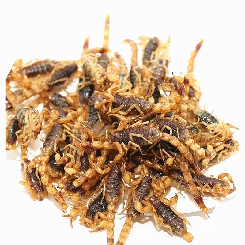 油炸蝎子食用大蝎子沂蒙山活蝎子现炸现发十足全蝎香辣即食炸蝎子 - 图3