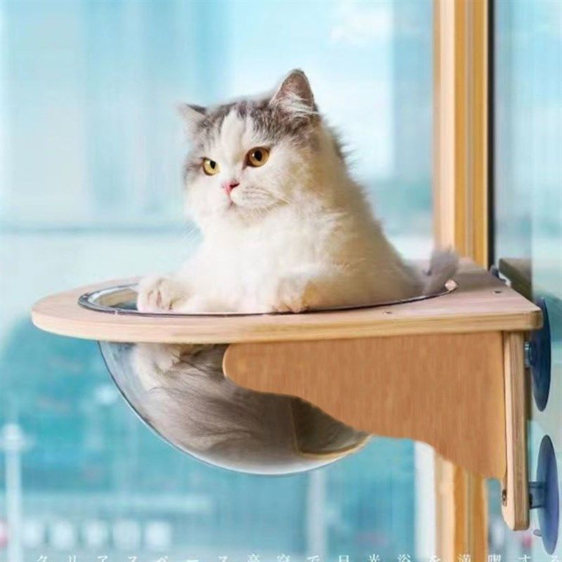 实木猫窝悬挂吸盘玻璃免打孔猫爬架透明太空舱阳台窗户吊挂床挂窝,淘宝优惠券,粉丝福利购,淘宝优惠卷