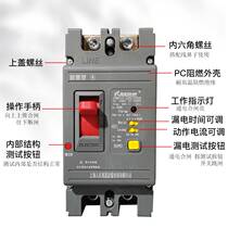 2P home high-power earth leakage protector 100A250A single-phase 220V earth leakage circuit breaker switch lightning protection with lamp