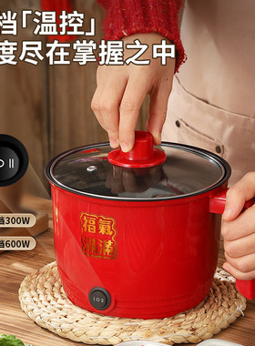 小型电煮锅学生宿舍家用