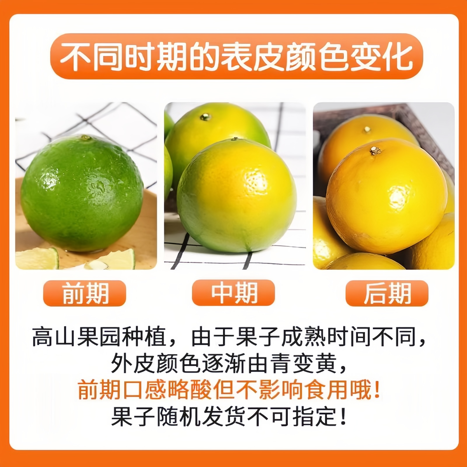 正宗广西皇帝柑新鲜橘子水果当季现摘蜜桔子9斤贡柑甜橘老树大果,淘宝优惠券,粉丝福利购,淘宝优惠卷