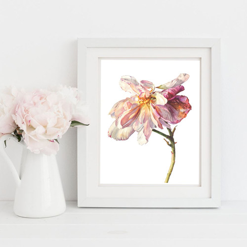 罗西·桑德斯水彩花卉明信片临摹卡片32张高清画作文创留言卡油画作品唯美文艺小清新精美卡片创意礼物世界名画新年贺卡片 - 图2