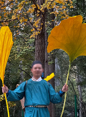 仿真银杏叶纸艺大型叶子拍照道具