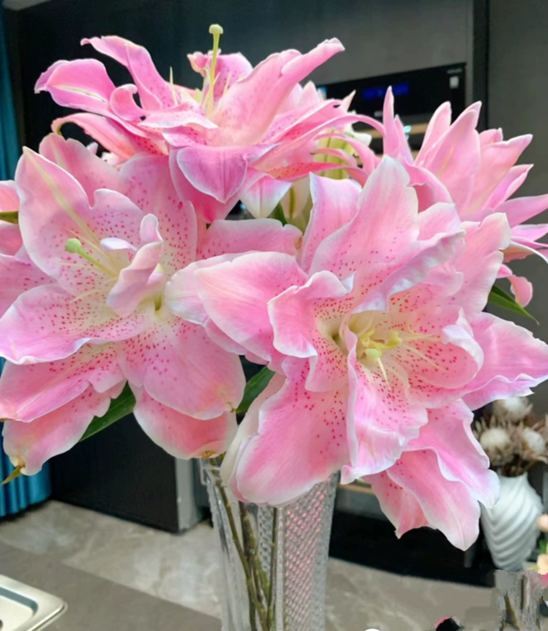 【粉拉菲】重瓣香水百合花云南鲜花昆明基地直发日常水养鲜花速递,淘宝优惠券,粉丝福利购,淘宝优惠卷