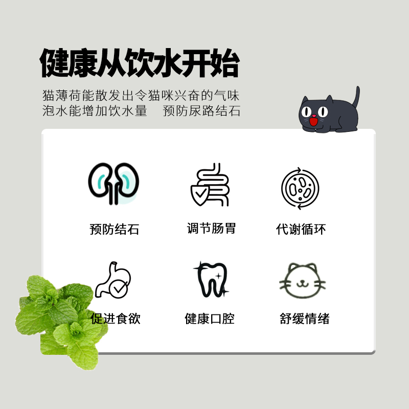 猫薄荷茶帮助爱猫喝水促消化猫咪缓解情绪天然猫薄荷促进猫咪饮水 - 图1