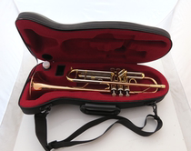 Golden Voice Trumpet upscale Small number down B Trumpet Instrument JYTR-A400G Professional Playing Teaching Solo Examination Class