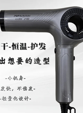 比比丽丝2100负离子无刷吹风机理