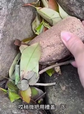 【藏钥匙神器】仿真创意石头