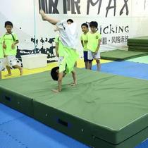 Gymnastics Mat Force Training Martial Arts Mat Empo Cushion Jump High Climbing Rock Wrestling Taekwondo Martial Arts Skill Thickened Mat Manufacturer