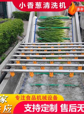 多功能商用果蔬气泡清洗机花菜鼓泡翻浪清洗机西兰花清洗机设备