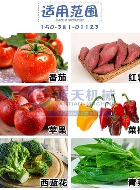 高压喷淋气泡清洗机 果蔬气泡清洗机喷淋设备 小型气泡喷淋清洗机