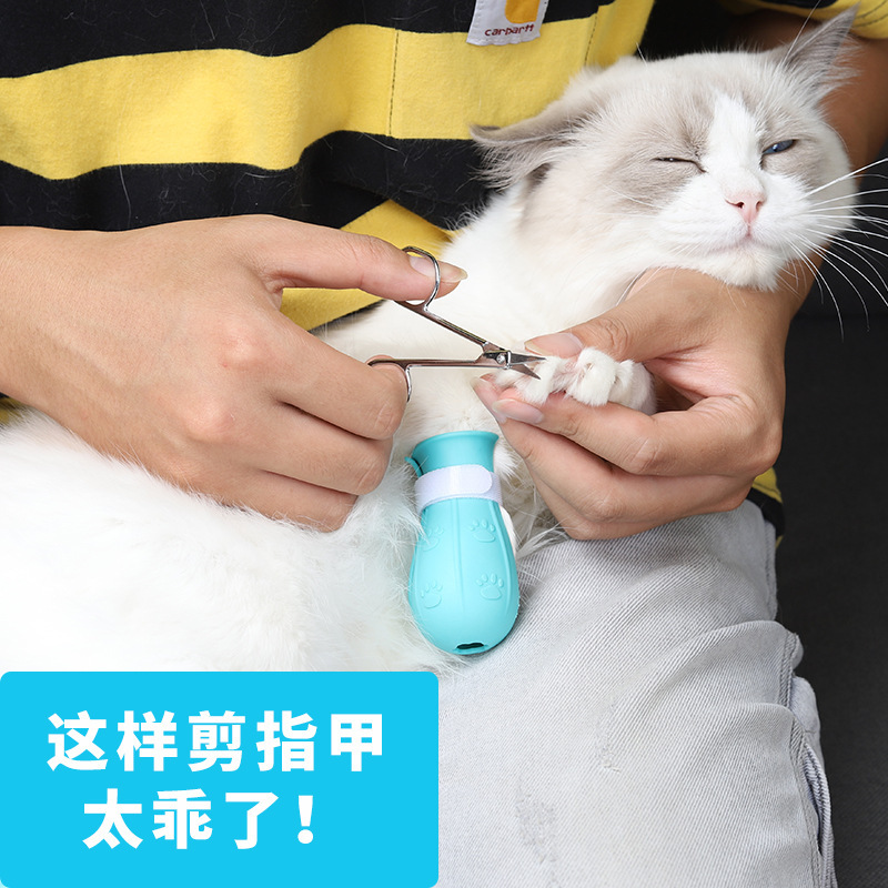 猫咪洗澡防抓神器猫脚套防猫抓防挠咬宠物脚套幼猫剪指甲小猫用品 - 图1