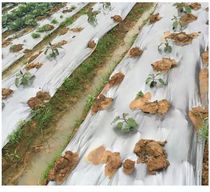 Silver black bicoloured mulch agricultural planting silver gray reflective mulch plastic film Weeding Gel Paper Greenhouse Membrane Aging