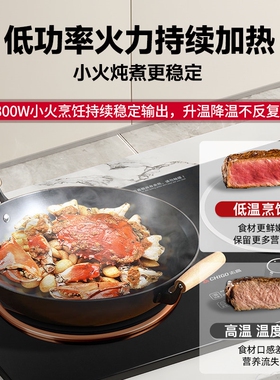 志高电磁炉双灶嵌入式3500W大功