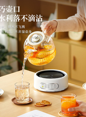 养生壶纯玻璃电水壶炖煮
