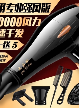 电吹风机大功率发廊专用风筒静音