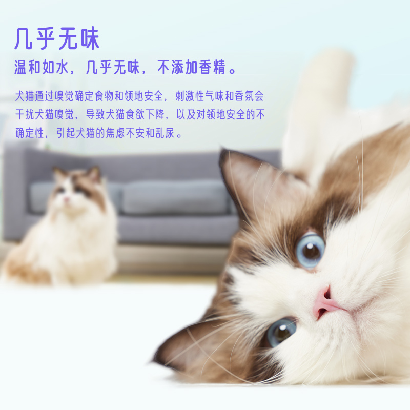 次氯酸消毒液宠物猫咪专用杀菌喷雾猫砂盆家庭猫藓环境养猫除菌水-图3