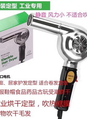 无声超静音定型电吹风机烘干老式