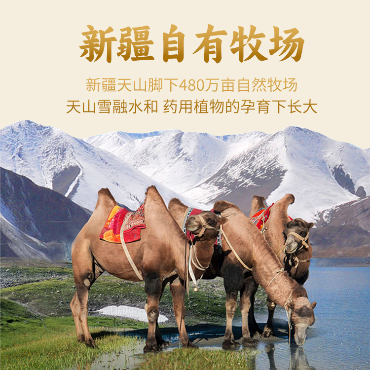养倍优乳铁蛋白富硒高钙配方骆驼乳粉