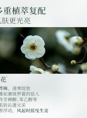 橪玉梅凝光焕采精油面霜抗皱紧致