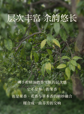 橪佛手柑精油原料意大利