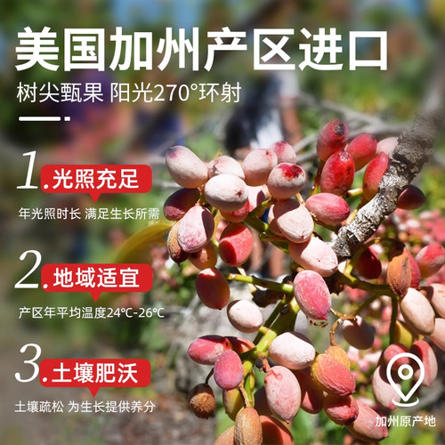 开心果2025新货原味无添加开口特大颗粒炒货原色无漂白零食年货 - 图0