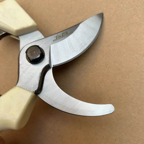 东风202强力修枝剪枝剪园艺剪果树剪花枝花艺剪盆景剪剪刀修剪树 - 图2