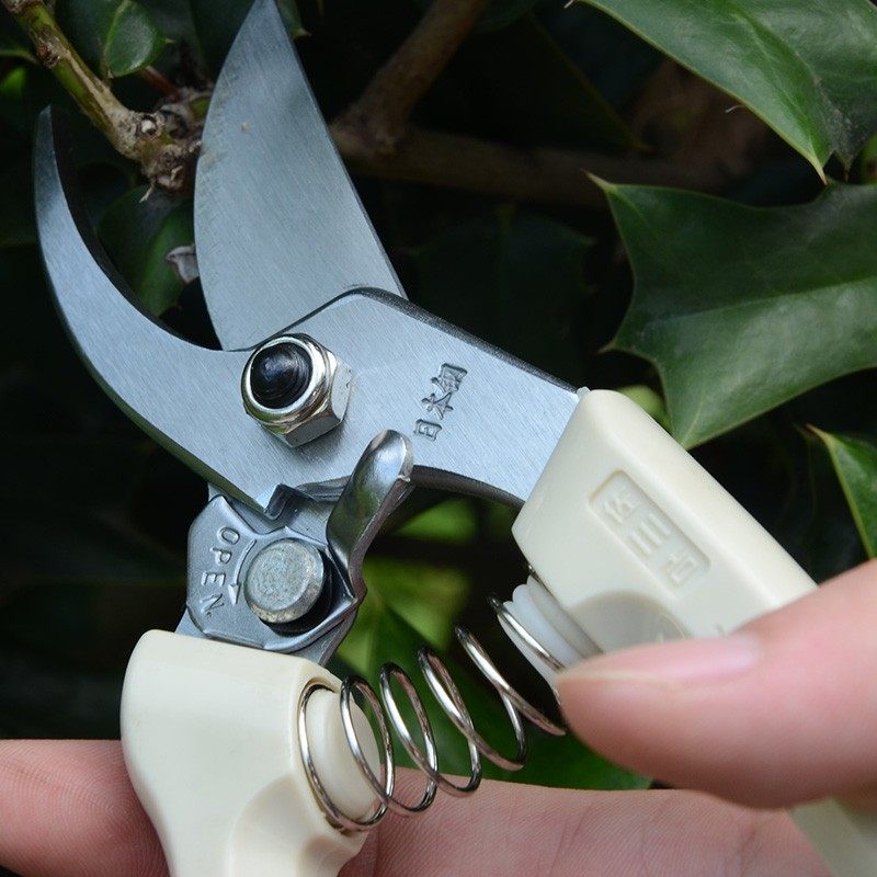 台湾佐川吉130修枝剪剪枝剪1果树园艺剪刀进口整枝剪花枝剪粗枝剪,淘宝优惠券,粉丝福利购,淘宝优惠卷