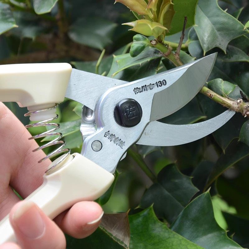 台湾佐川吉130修枝剪剪枝剪1果树园艺剪刀进口整枝剪花枝剪粗枝剪,淘宝优惠券,粉丝福利购,淘宝优惠卷