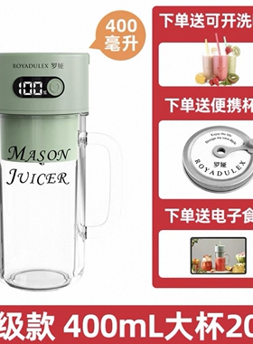罗娅榨汁机16叶刀头500ml家用小