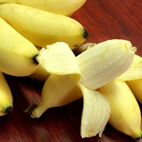 苹果蕉树苗皇帝蕉树苗广西红香蕉苗安南蕉中蕉小米蕉苗粉蕉苗盆栽 - 图1