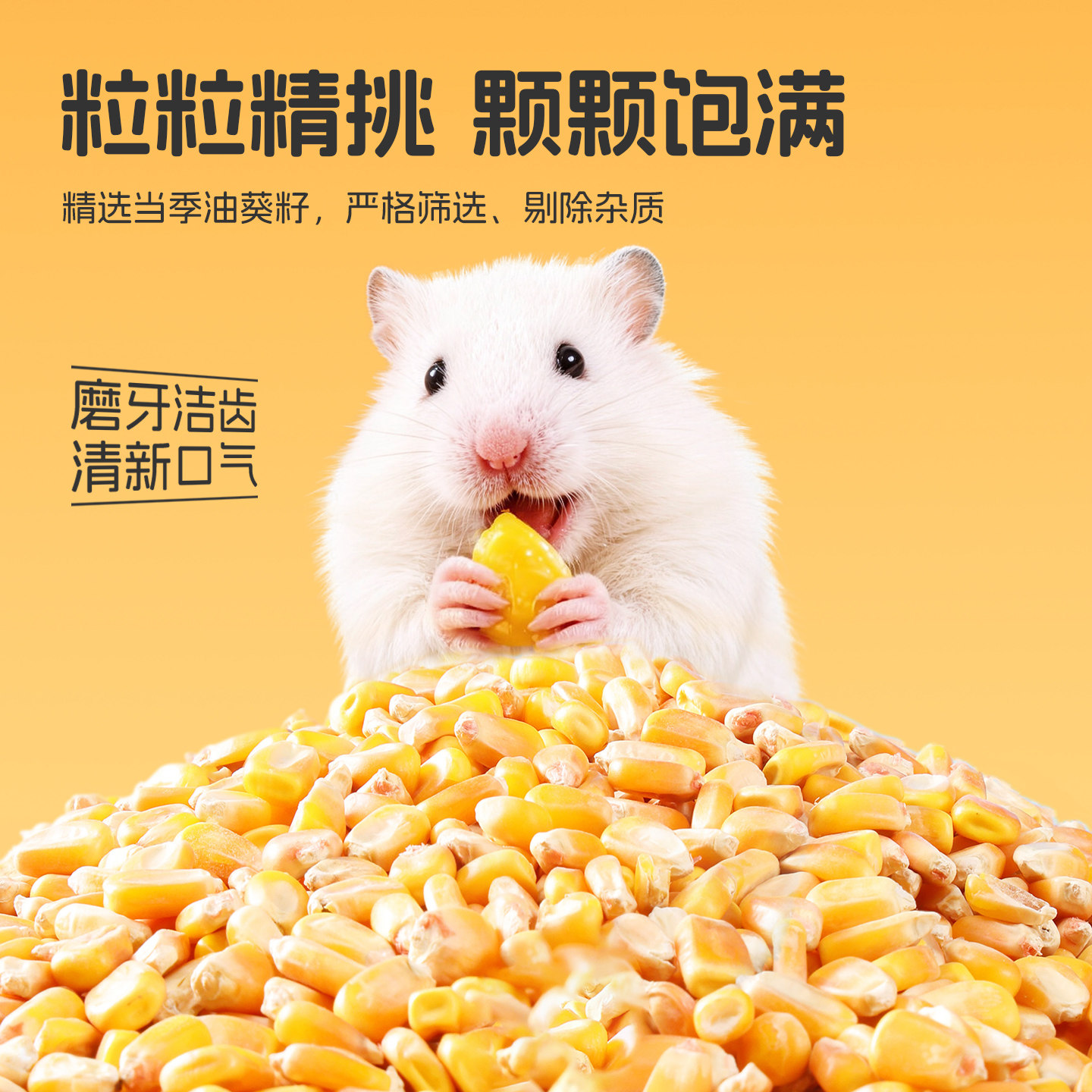 悦小萌仓鼠玉米粒零食磨牙棒金丝熊花枝鼠专用营养粮食饲料用品,淘宝优惠券,粉丝福利购,淘宝优惠卷