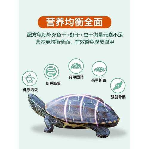 龟粮乌龟饲料草龟巴西龟小乌龟通用鱼干虾干面包虫干营养乌龟粮 - 图2