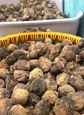 野生桃枭沂蒙山区不落地走夜路随身防止做噩梦防惊吓桃核出行平安