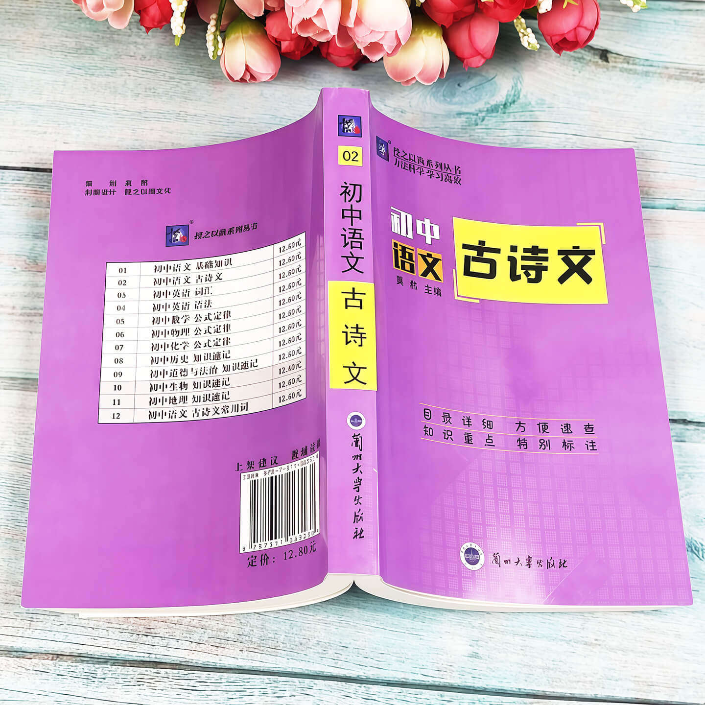 掌中宝初中基础知识速记手册初中语文古诗文方法科学高效初中基础知识迷你口袋本