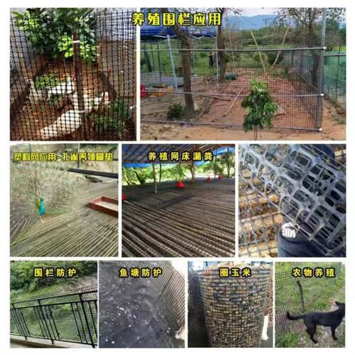 养鸡塑料网格围栏网拦鸡网家用果园养殖网鱼塘防护网围栏栅栏户外 - 图3