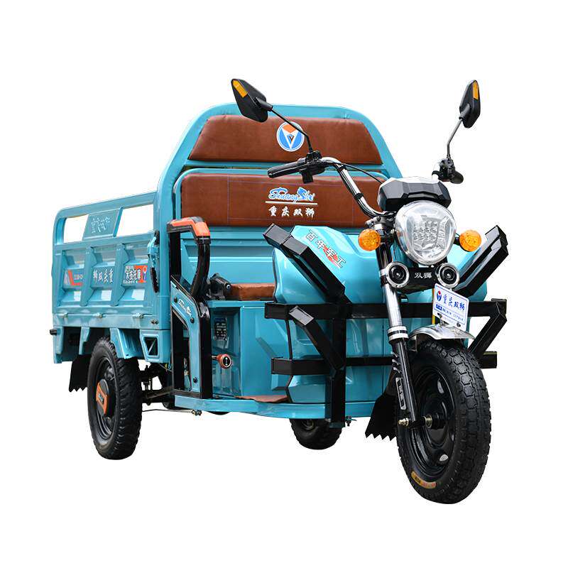 双狮电动三轮车拉货货车载重王电动车载货家用小型农用货运电瓶车