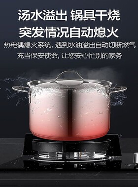 乐邦燃气灶家用煤气灶天然气双灶煤气灶猛火炉台式液化气灶大火力