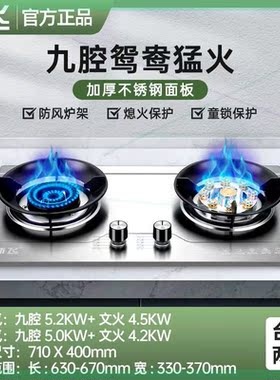 燃气灶双灶家用嵌入式天然气灶台式液化气灶九腔猛火煤气灶