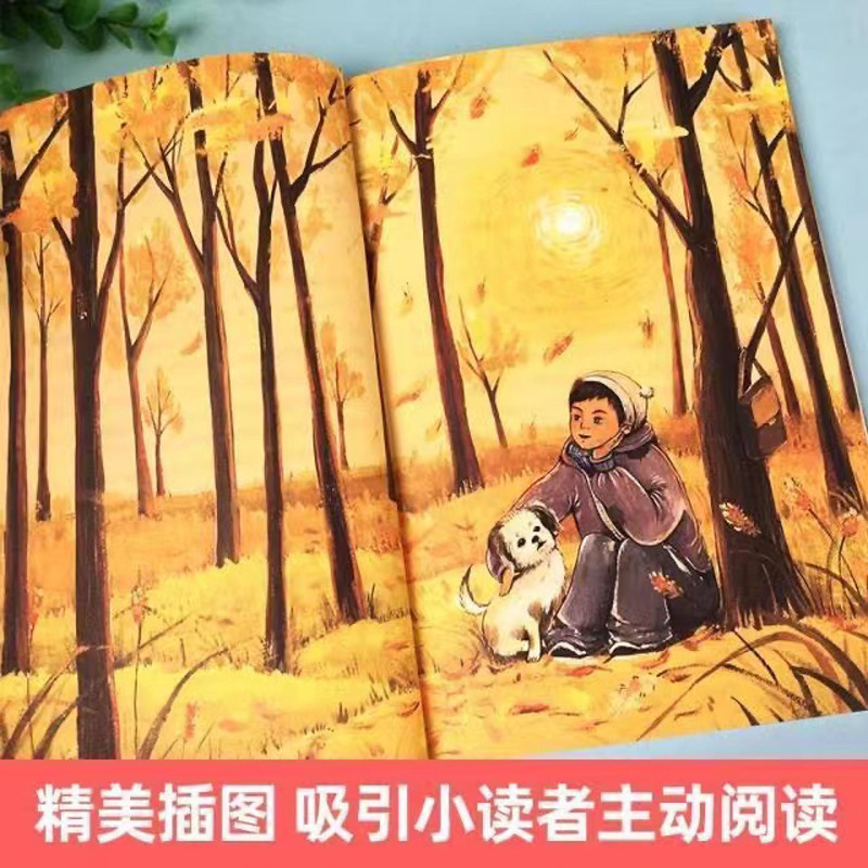 念书的孩子孟宪明原著正版经典儿童文学6-12周岁小学生一二三四五六年级课外阅读经典文学故事书儿童读物家庭教育书籍儿童励志小说,淘宝优惠券,粉丝福利购,淘宝优惠卷