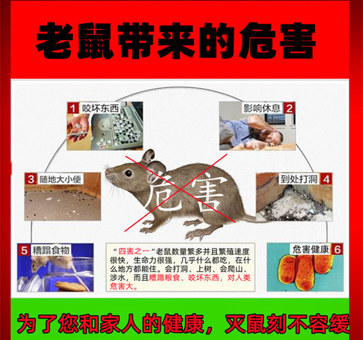 老鼠药特耗子药效超力家用高闻到强灭鼠葯捕鼠效水剂粮食颗粒家用