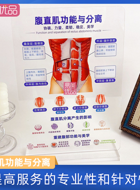 月子中心腹直肌功能与分离亚克力摆台知识科普妇产科品牌专业交互